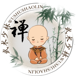 Ecole de Wushu Shaolin
